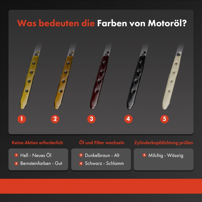 Frankberg Oil Dipstick Compatible with C-Class W204 C180-C250 C-Class Coupe