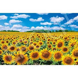 Epoch 09-029s 1,000-Piece Jigsaw Puzzle, Japanese Scenery, Sun Shining on Sunflower Village - Hokkaido, 19.7 x 29.5 inches (50 x 75 cm), Includes Glue / Spatula / Point Ticket