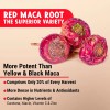 Maju Superfoods Cápsulas Maca Roja Orgánica 120