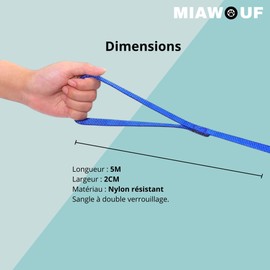 Dog Lead (5 m Blue), Training Dog Lead with Handle Leash, Nylon Handsfree Strap for Small and Large Dogs (Blue, 5 m)