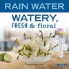 MRS. MEYER'S CLEAN DAY Liquid Dish Soap Refill, Rain Water,