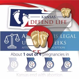 Heritage House '76 Precious Feet, Gold-Colored, Kansas Stats Card Jewelry, Lapel Pin