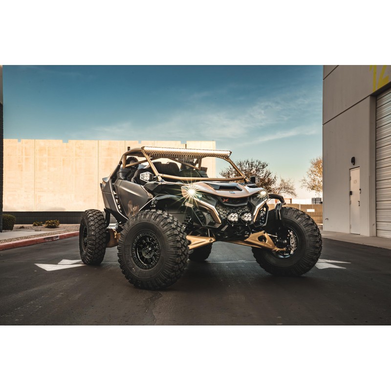 Can-am Maverick R BRP Go Front & Rear RCA Output