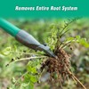 HUZSV Weed Puller Tool Gardening Hand Weeding Tool with Long