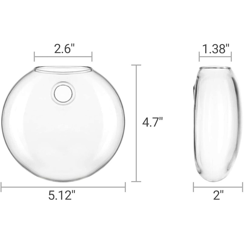 Mkono Wall Hanging Glass Terrariums Planter Oblate Flower Vase for