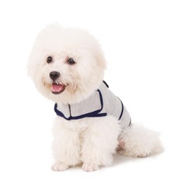 balancepaw Dog Anxiety Vest, Comfort Dog Anxiety Relief Coat, Breathable Dog Calming Vest for Thunderstorm, Travel, Fireworks, Vet Visits (S,Light Grey)