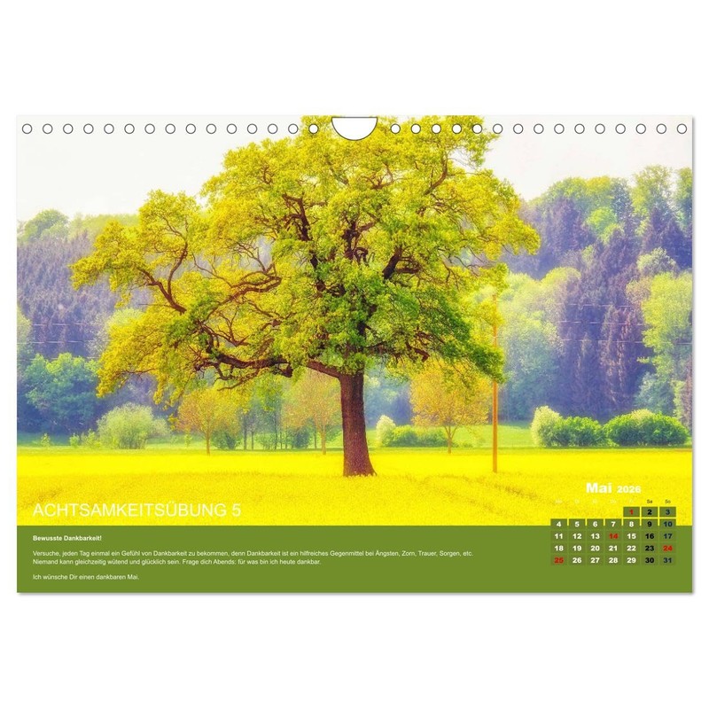 Mindfulness, 12 Exercises for More Mindfulness (Wall Calendar 2026 DIN