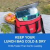 Blobuste Reusable Ice Pack for Lunch Box and Cooler Bag,