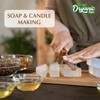 Organic Zing Cinnamon Aroma & Diffuser Oil for DIY Candle
