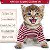 DENTRUN Hairless Cats Shirt Cat Wear Clothes Stripe Vest Best