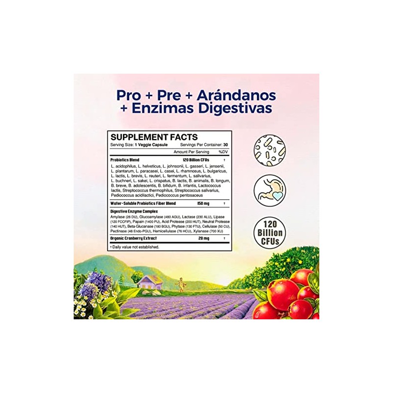 Blanca Probióticos Mujer Vitalitown Prebióticos Enzimas Digestivas Arándanos Vegano Omg