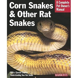 Corn Snakes and Other Rat Snakes