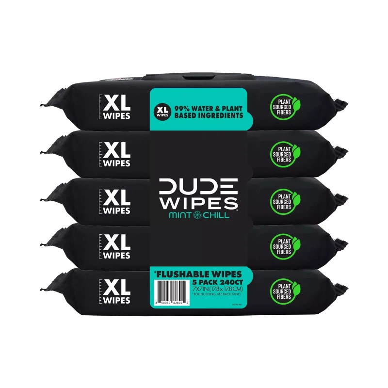 DUDE Wipes Flushable Wipes, XL Wet Wipes for At Home