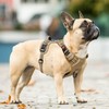 HEELE Dog Chest Harness, for Running, with Lockable Snap Closure,