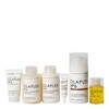 Olaplex The Full-On Shine Set