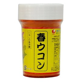 Okinawa Prefecture Spring Turmeric Powder (Container) 3.5 oz (100 g)