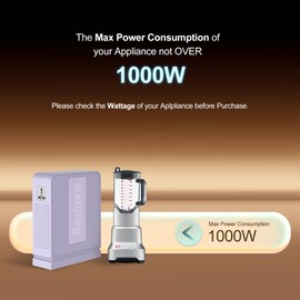 BESTRANS 1000W Step Up Transformer 110v to 220v Converter, Heavy Duty Voltage Converter 110v-120v to 220v-240v with Dual Outlets, Overload Protection & Ultra-Quiet for Home Appliances, Light Purple