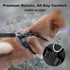 Plutus Pet Adjustable No Pull Dog Harness with Leather Accents,