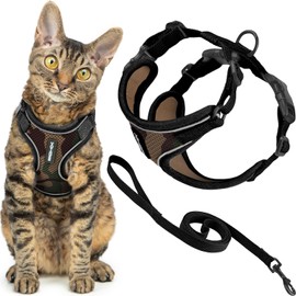 Voyager - Juego de arnés y Correa para Gatos a Prueba de Escape con Costuras Reflectantes, Mango de Neopreno de 5 pies - Soporta Gatos pequeños, media
