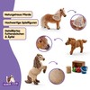 Schleich 41432 Miniature Shetland Pony Family