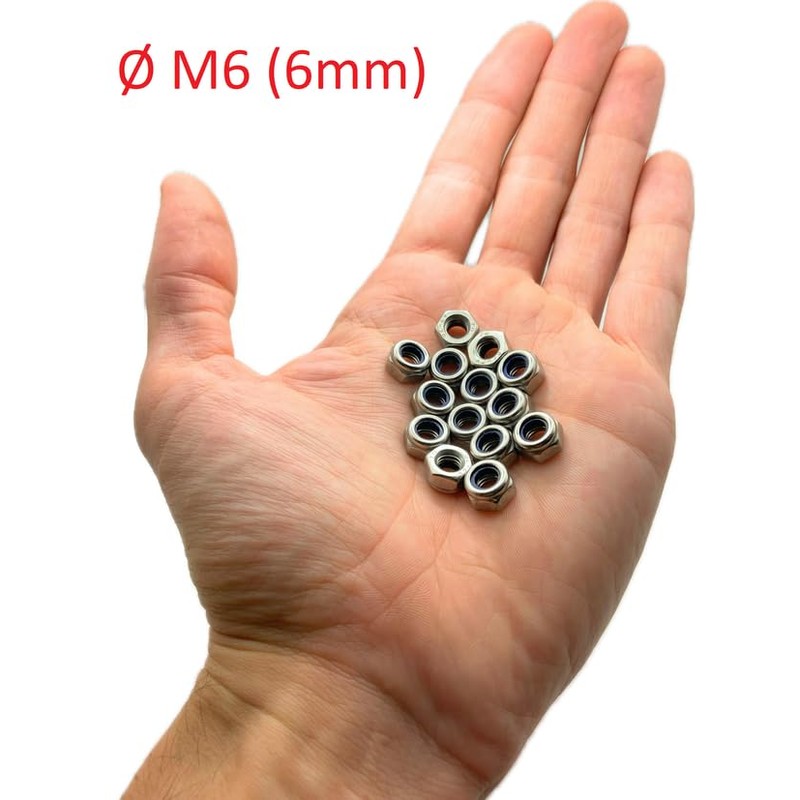 ProRaje Pack of 10 NYLSTOP Nuts M6 Stainless Steel Undelayed