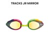 Arena Tracks Jr Youth Swim Goggles
