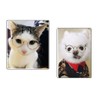 TopE Pet Glasses,Stock Show Funny Cute Dog Cat Retro Fashion