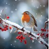 Noel Tatt Charity Christmas Cards Pack of 10 - Charity
