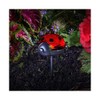 Online Garden Centre Ladybird Stake Triple Pack