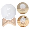 Mipcase Glass Terrarium Plant Holder Bubble Planter for Succulents and