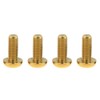 Dingtai M5x12mm Titanium Bolt Torx for Bicycle Bottle Cage 4pcs