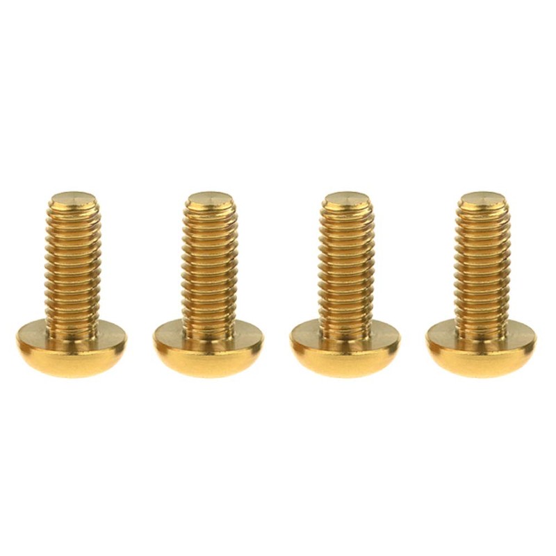 Dingtai M5x12mm Titanium Bolt Torx for Bicycle Bottle Cage 4pcs