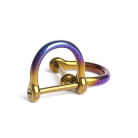 [TISUR] Key Ring Titanium Key Chain D-Ring for Smart Key Chain Anti-Lost Shackle Polished Surface (Titanium D Ring Rainbow Color/2*L)