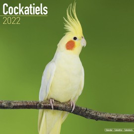 Cockatiels Calendar 2022 - Monthly Wall Calendar 2021-2022 - Made In USA - 12 x 24 (Open), Wall Calendar with Holidays and Moon Phases Lunar Calendar, Planner Calendar for Organizing & Planning