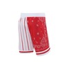 DIOTSR Mens Basketball Shorts Paisley Graphic Shorts Bandana Athletic Running