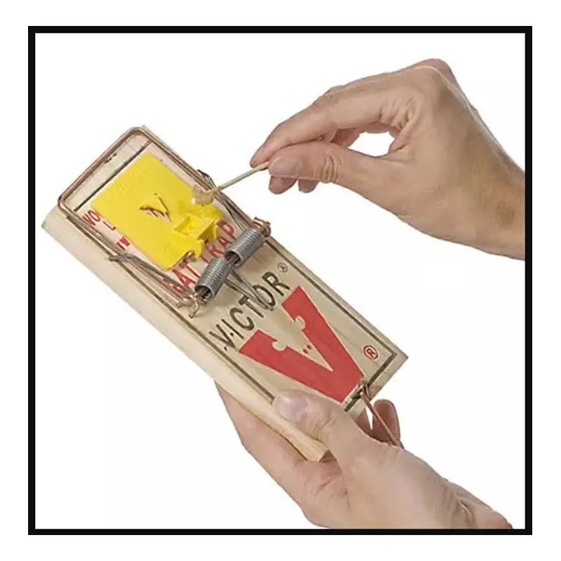 Victor Large Professional Rat Trap, Easy To Set Snap Catch