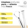 BEE VIBES Raspador de Lengua Acero Inoxidable 2 Piezas con