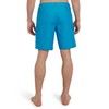 Quiksilver Men's Standard Swimwear Regular Fit Fixed Waist UPF 50