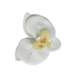 Phalaenopsis Hair Ornament, 7 Ring Set, Japanese Dress, Coming-of-Age Ceremony, Bob, Yukata, Furisode, Hair Accessories, Weddings, Hakama, Kimono, Hair Clip, Adult Ceremony, White, Artificial Flower