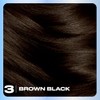 Clairol Nice'n Easy Permanent Hair Dye, 3 Brown Black Hair