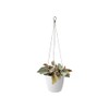 elho 18 cm Brussels Hanging Basket - White