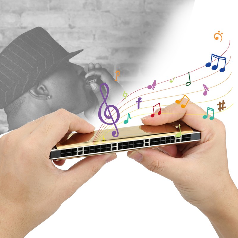 24 Hole Tremolo Harmonica Harp Wind Musical Instrument for Beginner