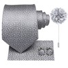 Hi-Tie Mens Tie Lapel Pin Set Pocket Square Cufflinks Woven