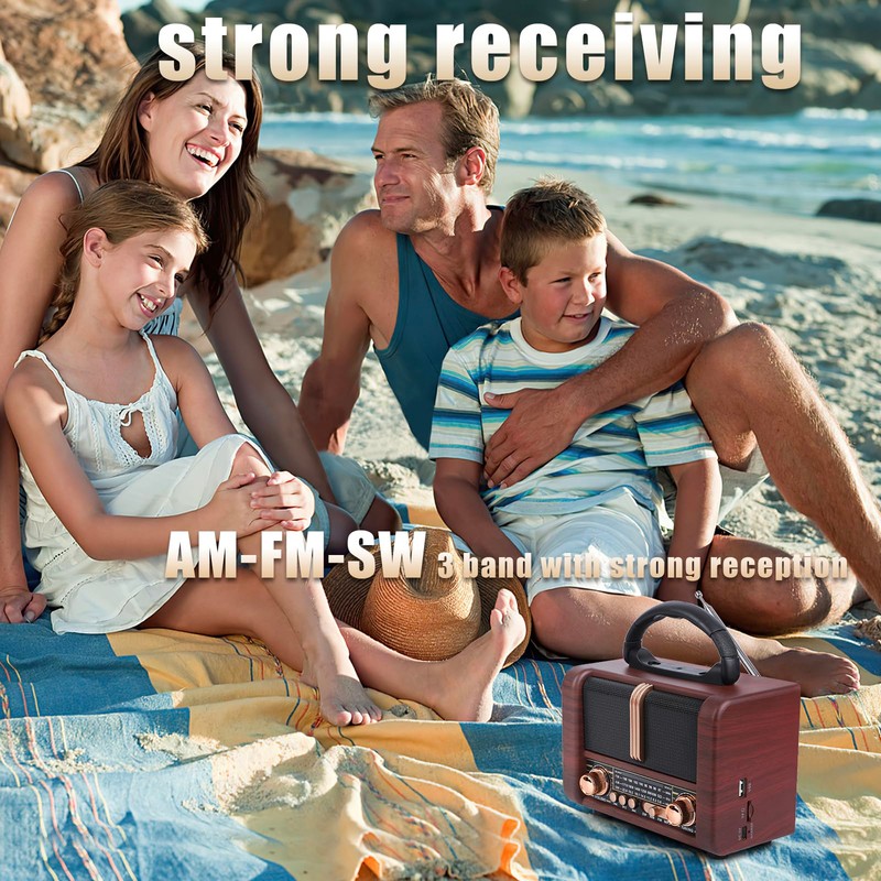 T.TAOMI Retro Portable Radio AM FM SW 3 Band,USB Charging,