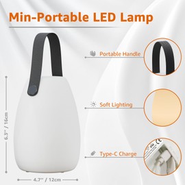 uuffoo Table Lamp Portable for Indoor/Outdoor Rechargeable Cordless LED Lamp Warm White and RGB, Remote Battery Desk Lamp for Patio Camping Restaurant Home (Black Handle, Small 2pcs)