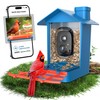 Rayki Solar Bird Feeder with Camera for Birdwatching, 2K HD
