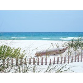 BIGGIES-Wall Mural-South Carolina Coast 48" X 36"