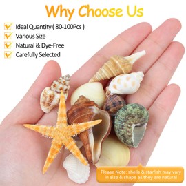 80+ Pcs Natural Seashells, Mixed Starfish Sea Shells for Crafts, Various Sizes Ocean Shells Conch for Decorating, Beach Theme Party, DIY Crafts, Fish Tank Filling, Home Decor, Wedding Decoration