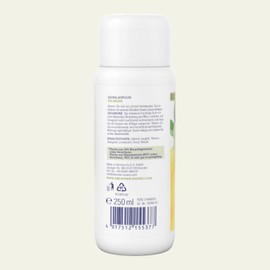 Dresdner Essenz Sauna Infusion Ice Lime 250 ml Fresh Citrus Sauna with Lime Oil Vitalising Care with Mint Oil and Orange Oil Vegan