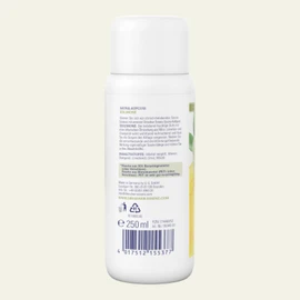 Dresdner Essenz Sauna Infusion Ice Lime 250 ml Fresh Citrus Sauna with Lime Oil Vitalising Care with Mint Oil and Orange Oil Vegan